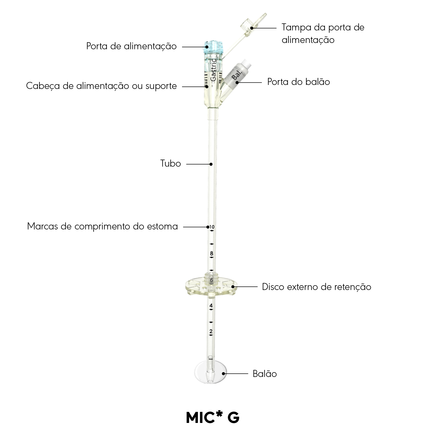 Diagrama do produto MIC* G