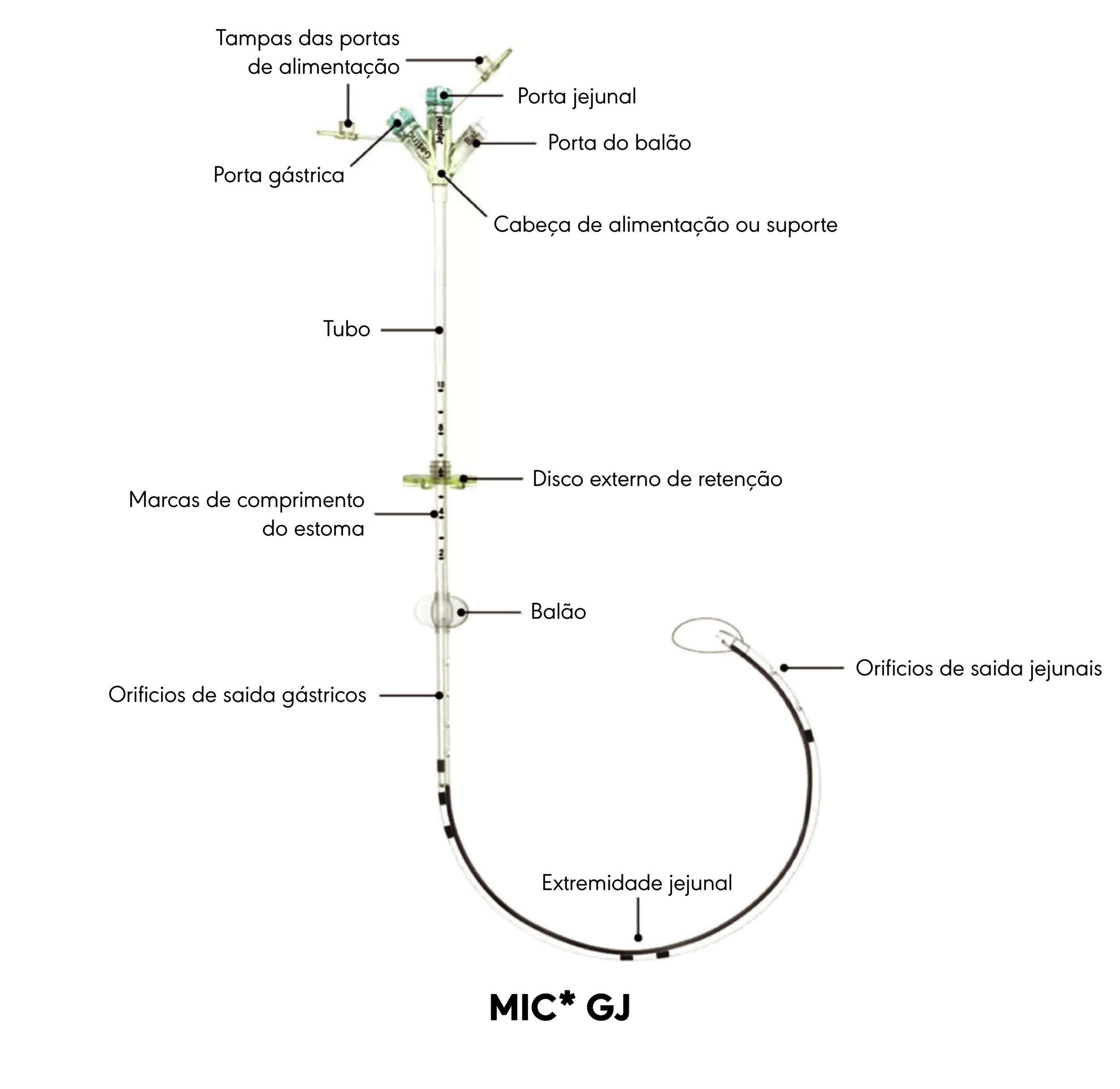 Diagrama do produto MIC* GJ